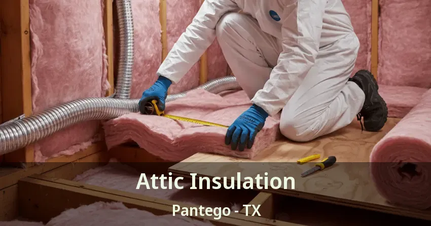 Attic Insulation Pantego - TX
