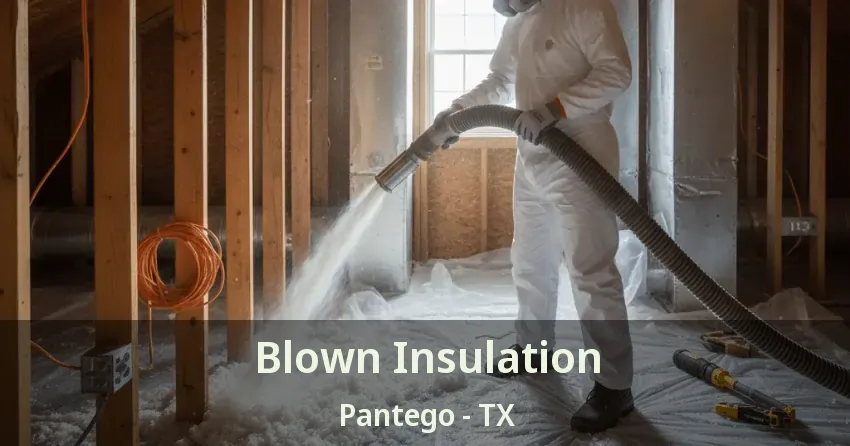 Blown Insulation Pantego - TX