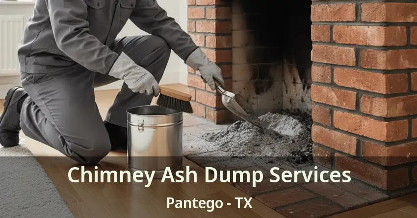 Chimney Ash Dump Services Pantego - TX