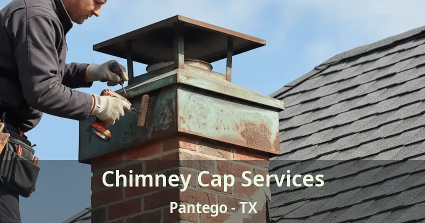 Chimney Cap Services Pantego - TX