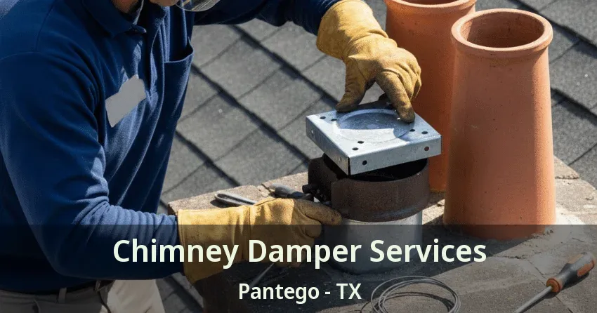 Chimney Damper Services Pantego - TX
