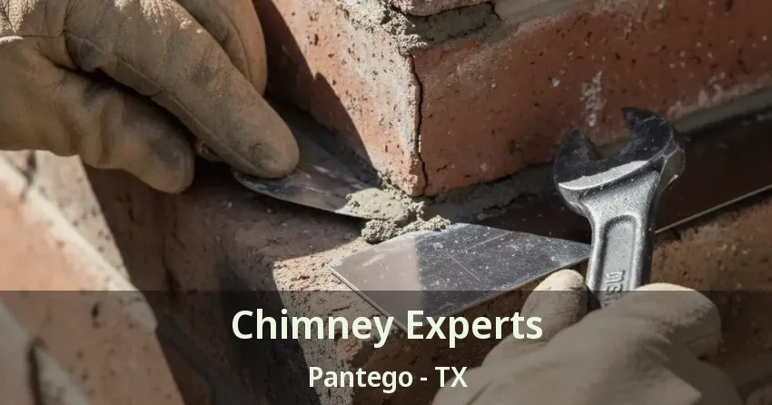 Chimney Experts Pantego - TX Chimney Experts Pantego - TX