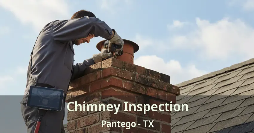 Chimney Inspection Pantego - TX