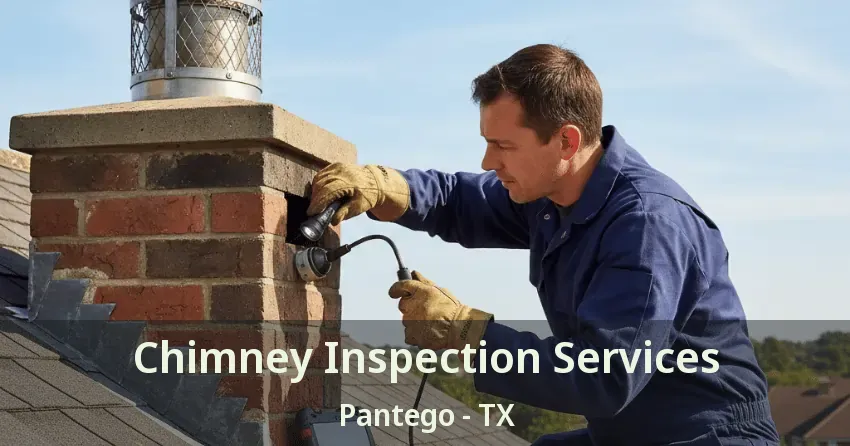 Chimney Inspection Services Pantego - TX