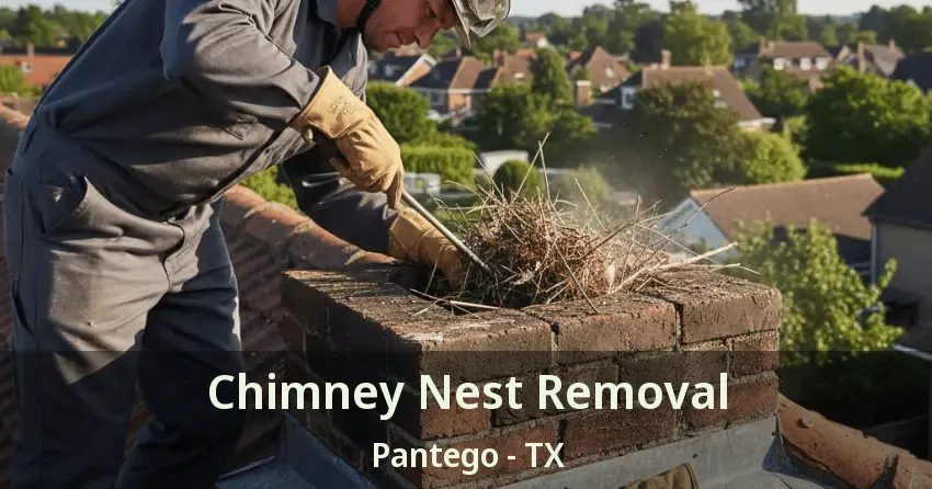 Chimney Nest Removal Pantego - TX