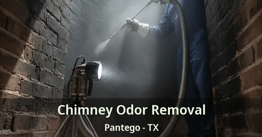 Chimney Odor Removal Pantego - TX
