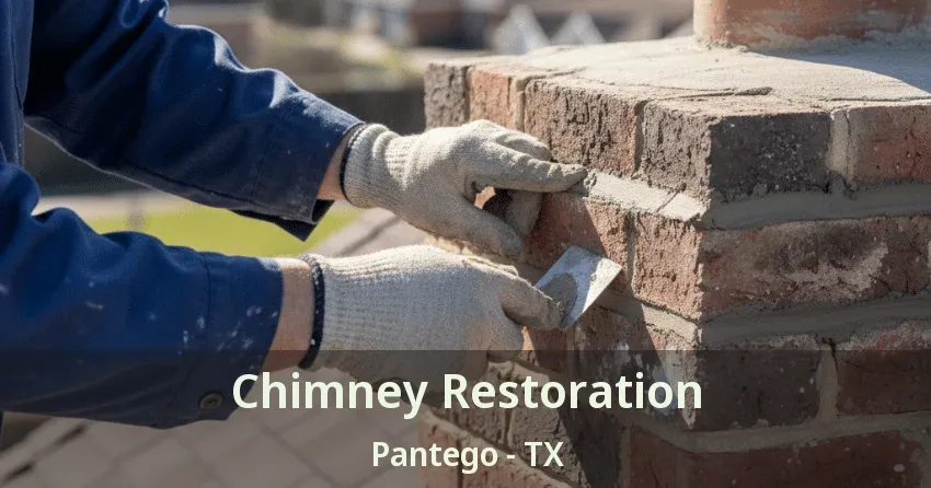 Chimney Restoration Pantego - TX