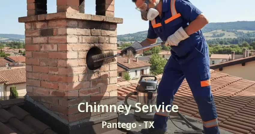 Chimney Service Pantego - TX
