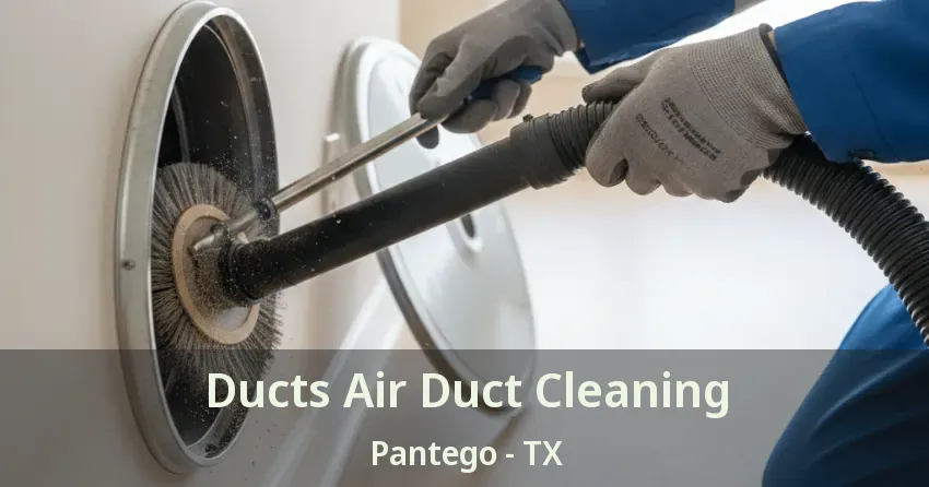 Ducts Air Duct Cleaning Pantego - TX