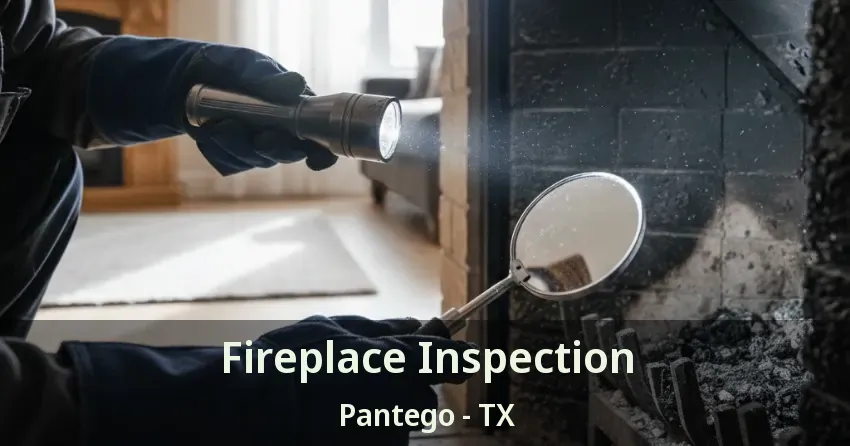 Fireplace Inspection Pantego - TX