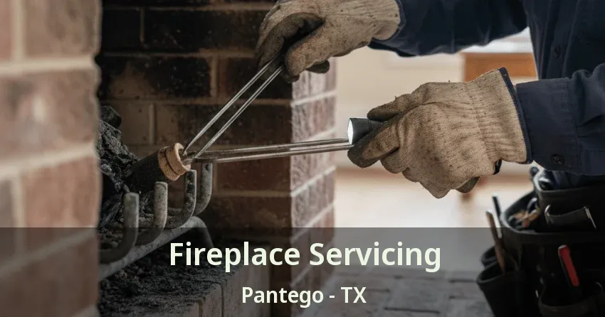 Fireplace Servicing Pantego - TX