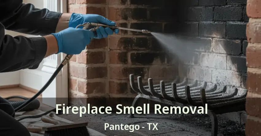 Fireplace Smell Removal Pantego - TX