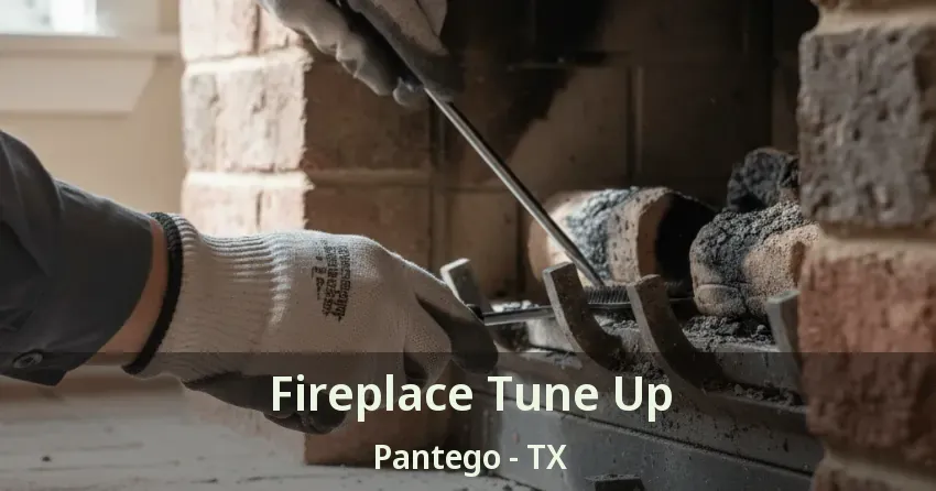 Fireplace Tune Up Pantego - TX