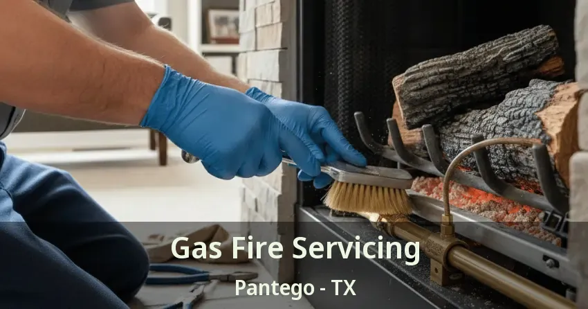 Gas Fire Servicing Pantego - TX