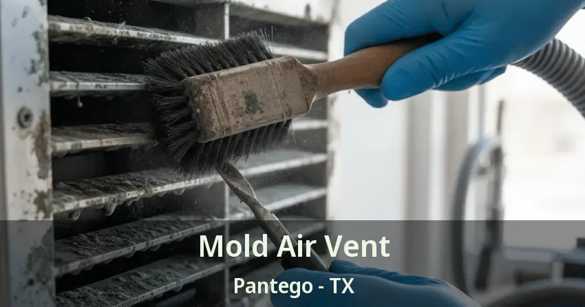 Mold Air Vent Pantego - TX