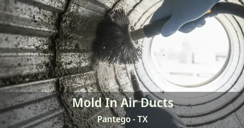 Mold In Air Ducts Pantego - TX