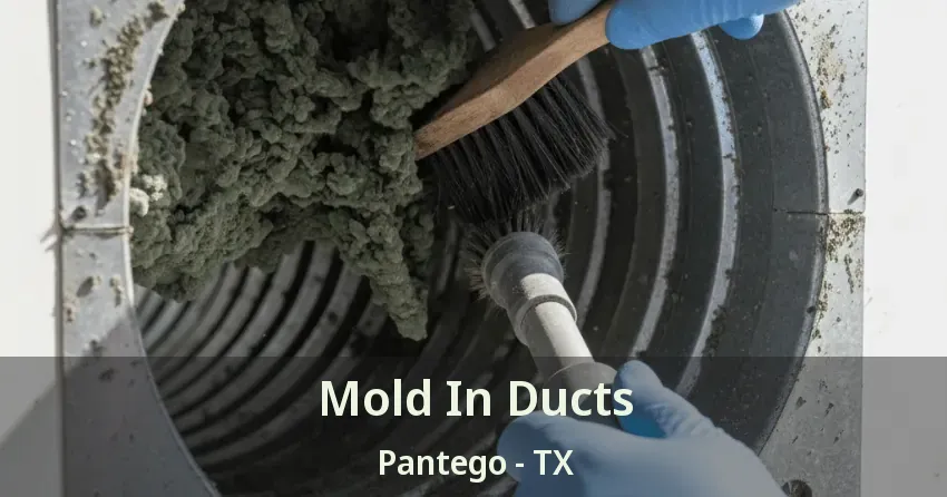 Mold In Ducts Pantego - TX