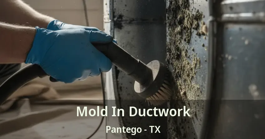 Mold In Ductwork Pantego - TX