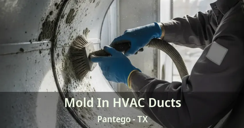 Mold In HVAC Ducts Pantego - TX Mold In HVAC Ducts Pantego - TX